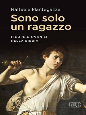 cover image of Sono solo un ragazzo